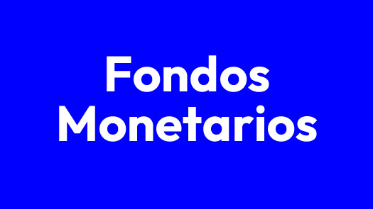 Ahorrar en Fondos Monetarios